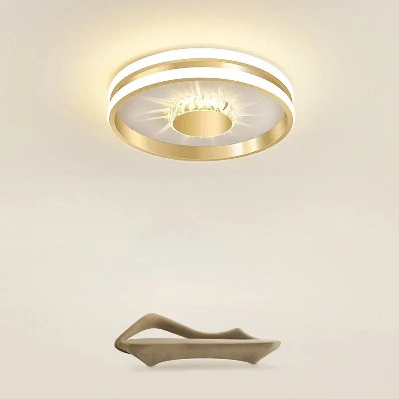 Modern Led ceiling light