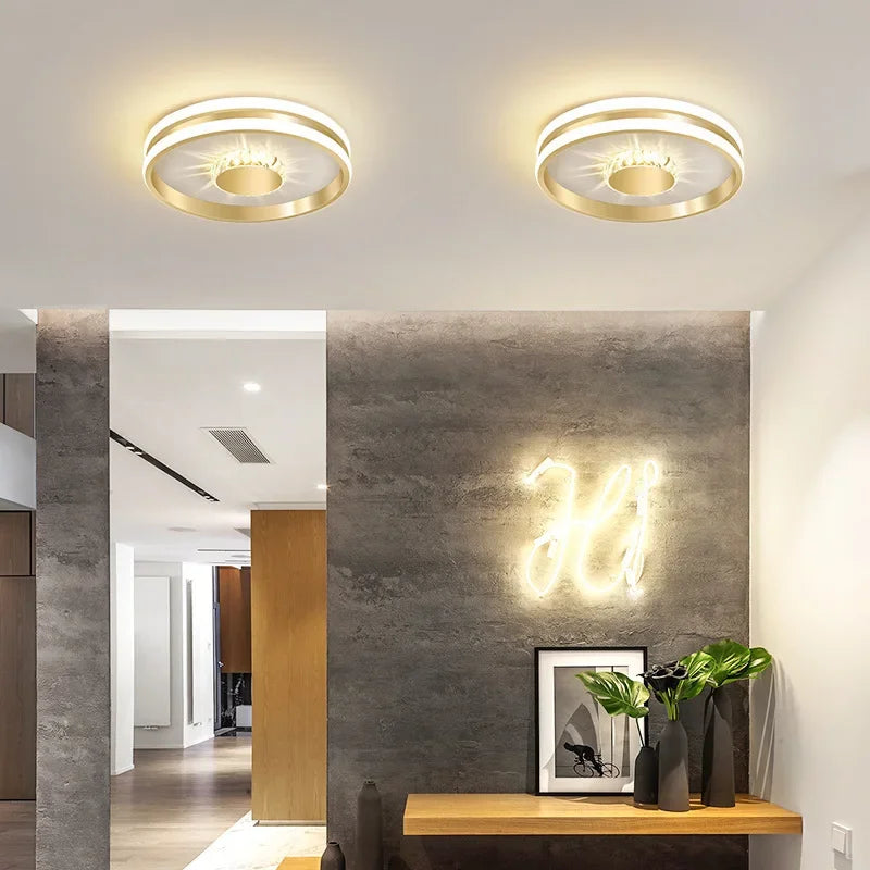 Modern Led ceiling light