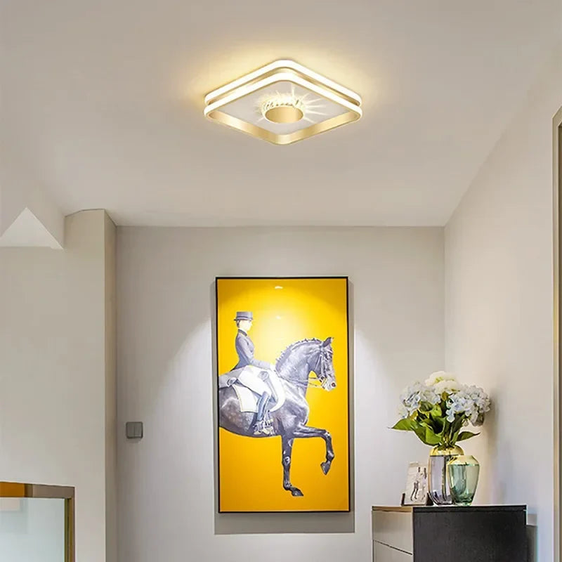 Modern Led ceiling light