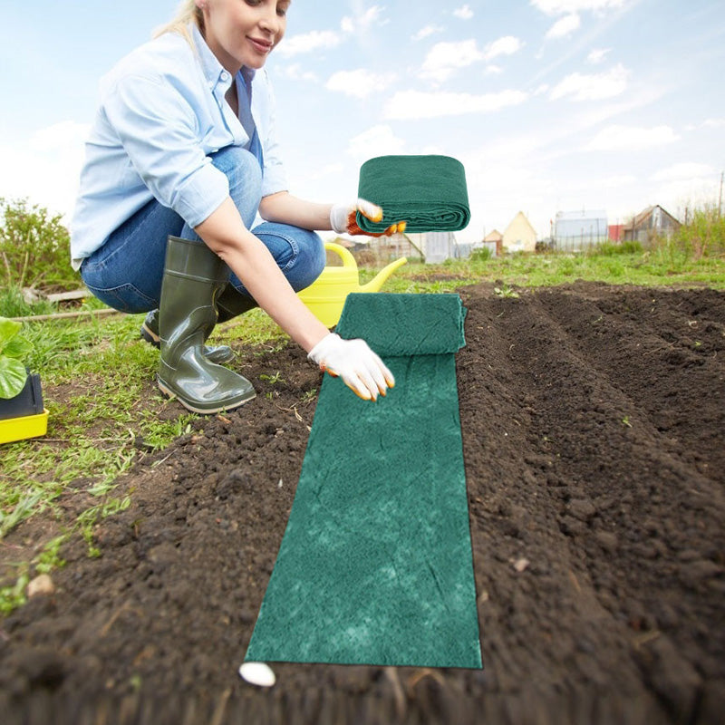 Biodegradable grass mat seed