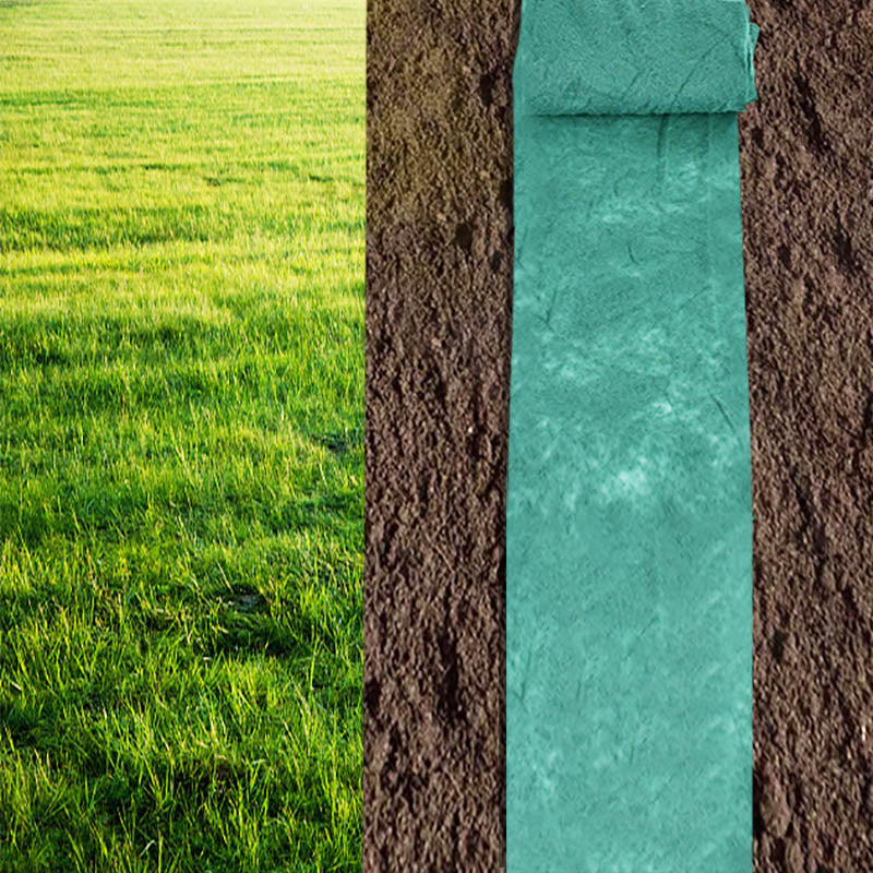 Biodegradable grass mat seed