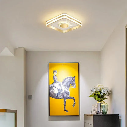 Modern Led ceiling light