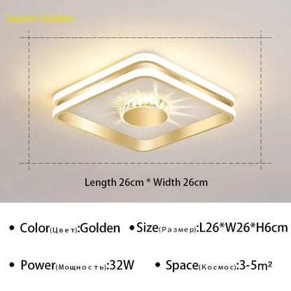 Modern Led ceiling light